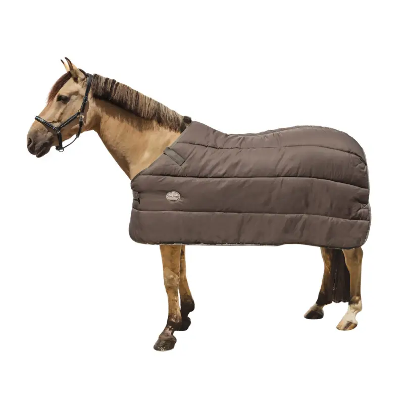 Preis Gesenkt Horse-friends Unterdecke 200 g