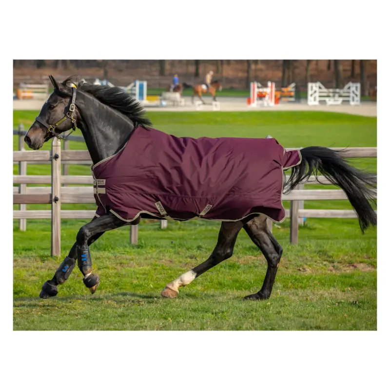 Nur Heute Horseware Outdoordecke AMIGO Hero Ripstop 100 g